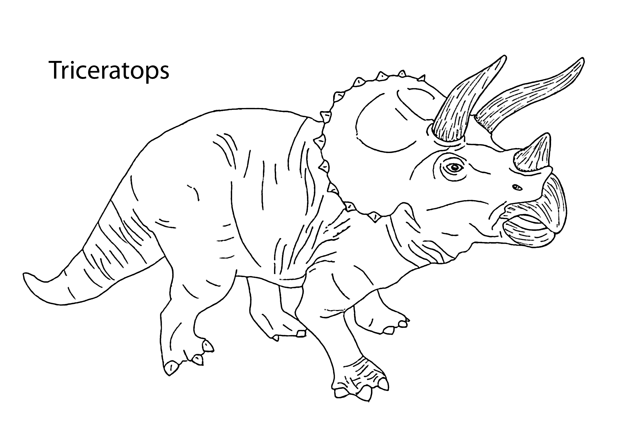 Triceratops coloring #14, Download drawings