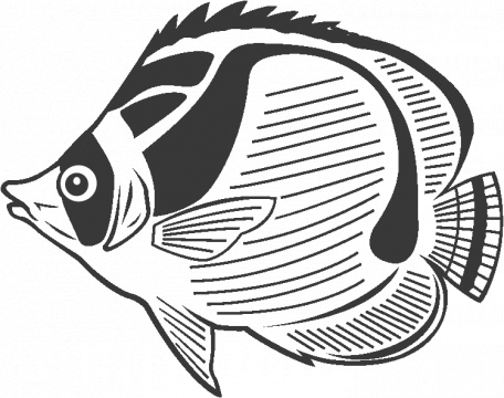 Tropical Fish coloring #14, Download drawings
