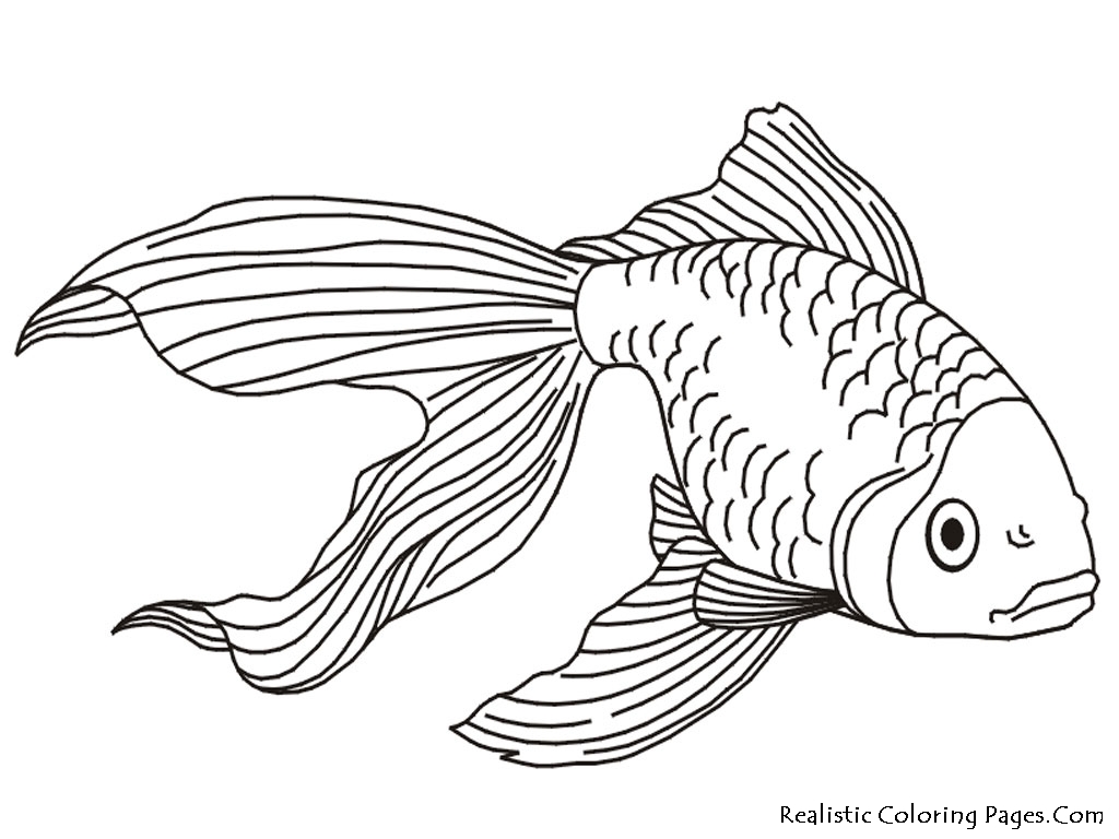 Tropical Fish coloring #12, Download drawings