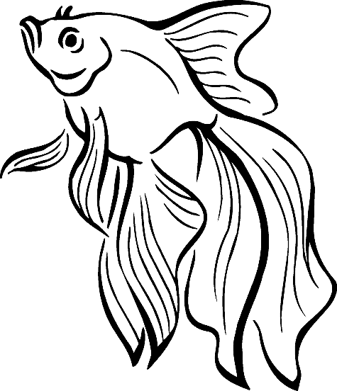 Tropical Fish coloring #15, Download drawings