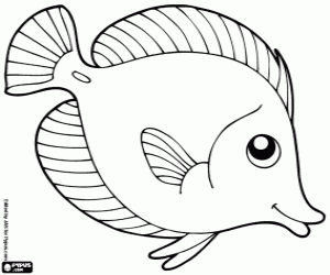 Tropical Fish coloring #13, Download drawings