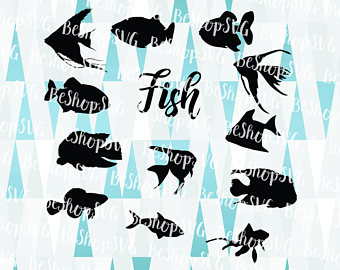 Tropical Fish svg #16, Download drawings