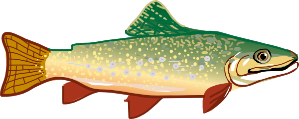 Trout clipart #15, Download drawings