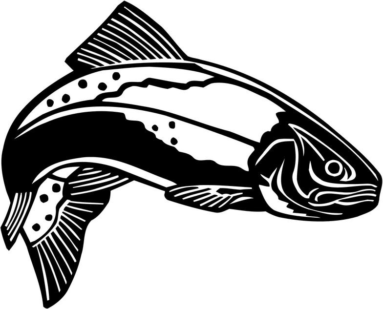 Trout clipart #17, Download drawings