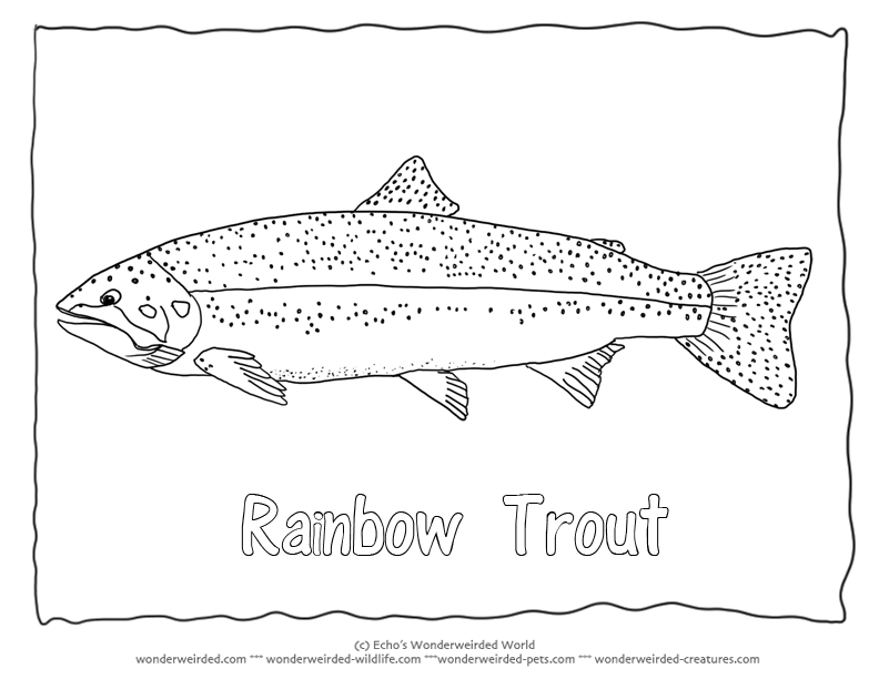Trout coloring #20, Download drawings