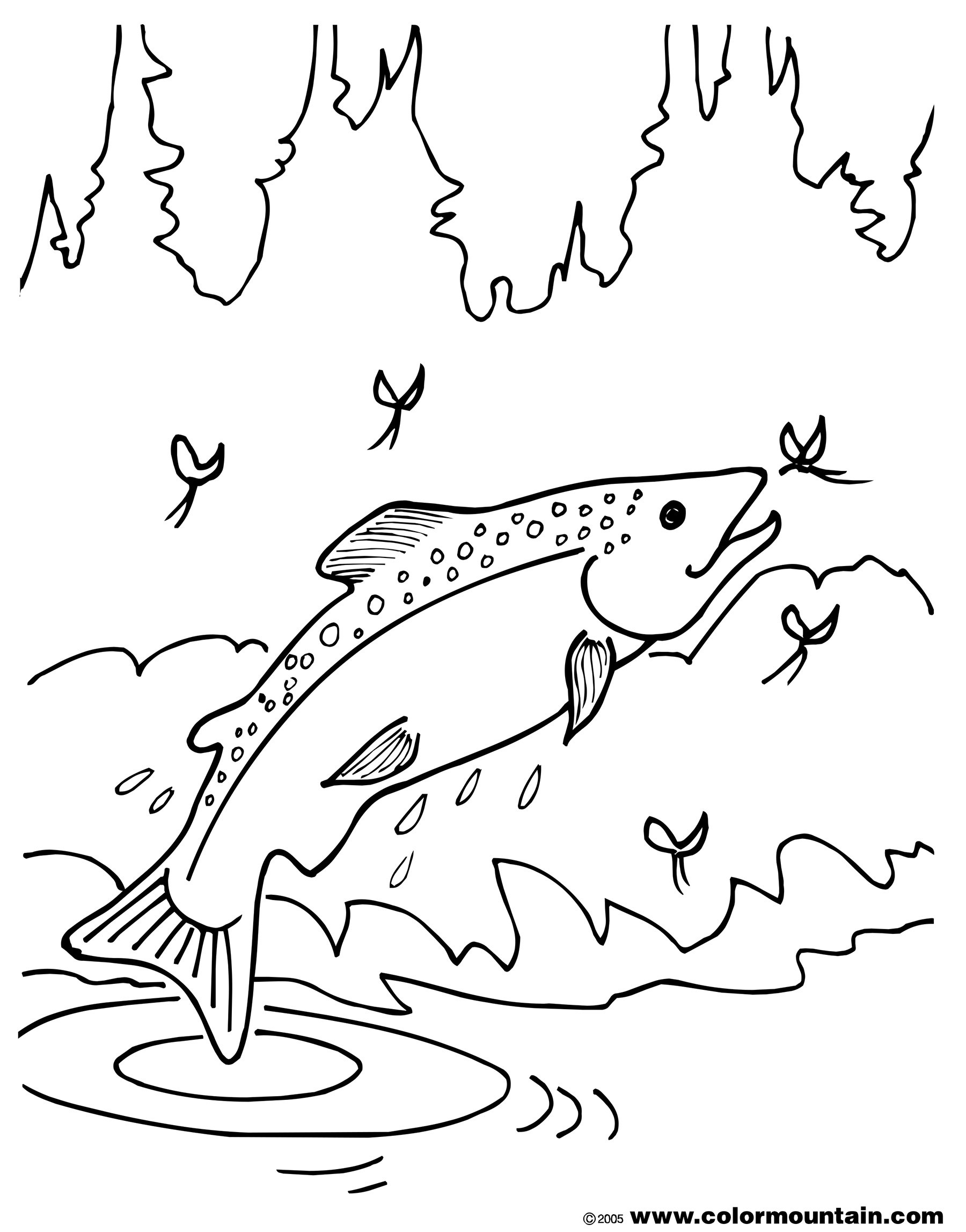 Trout coloring #11, Download drawings