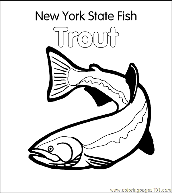 Trout coloring #12, Download drawings
