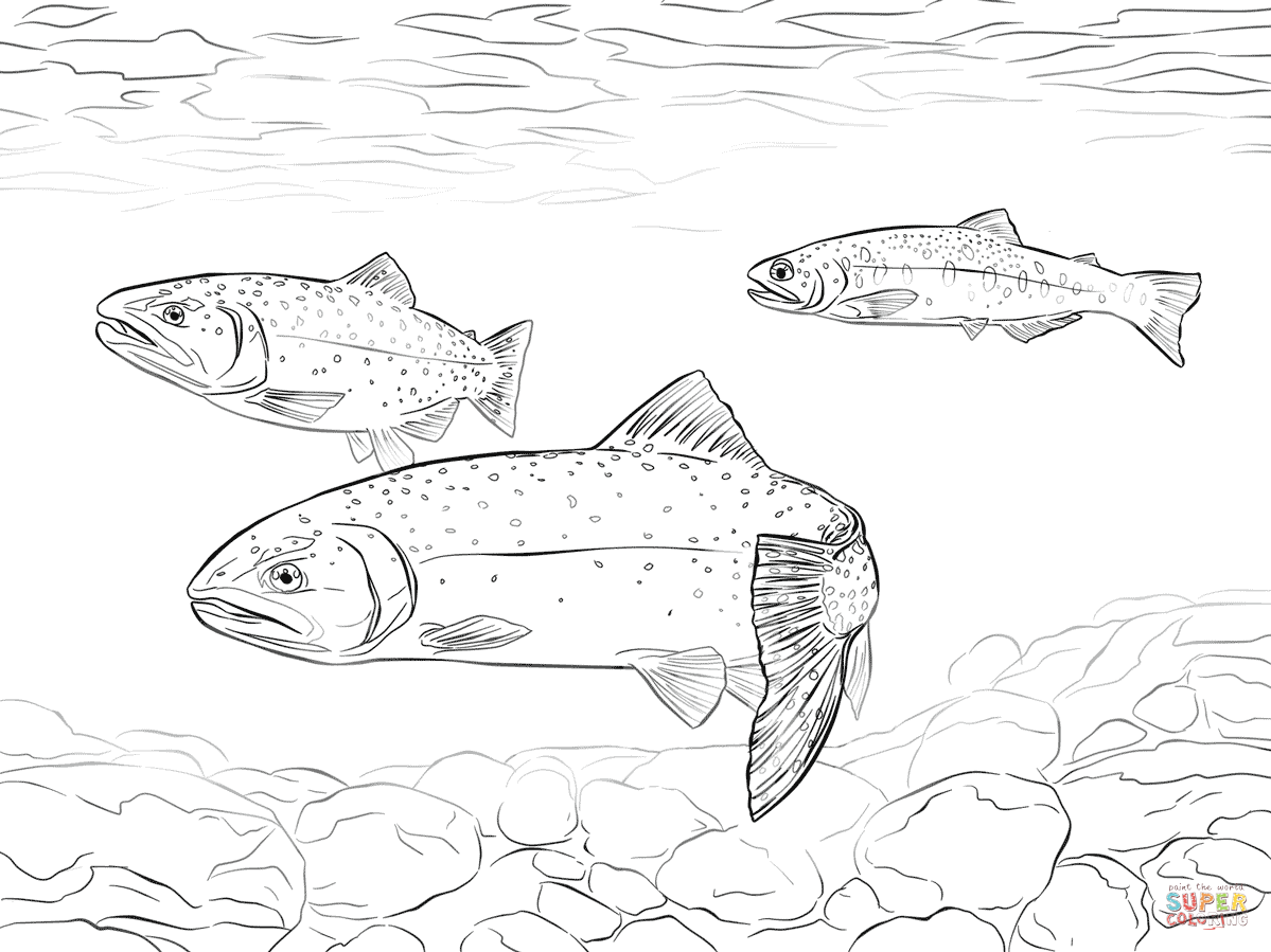 Trout coloring #3, Download drawings
