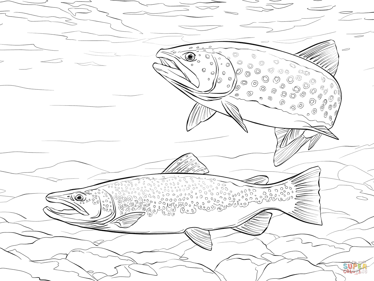 Trout coloring #9, Download drawings