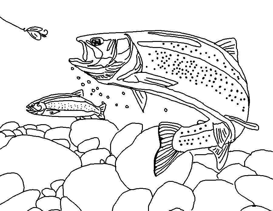 Trout coloring #8, Download drawings