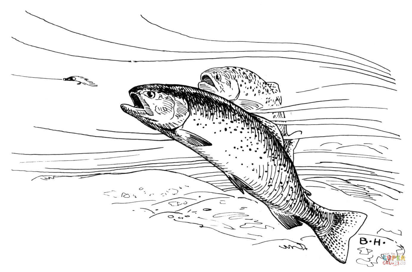 Trout coloring #5, Download drawings