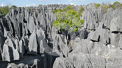 Tsingy De Bemaraha National Park clipart #17, Download drawings