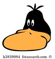 Tufted Duck clipart #16, Download drawings