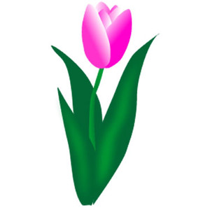 Tulip clipart #11, Download drawings