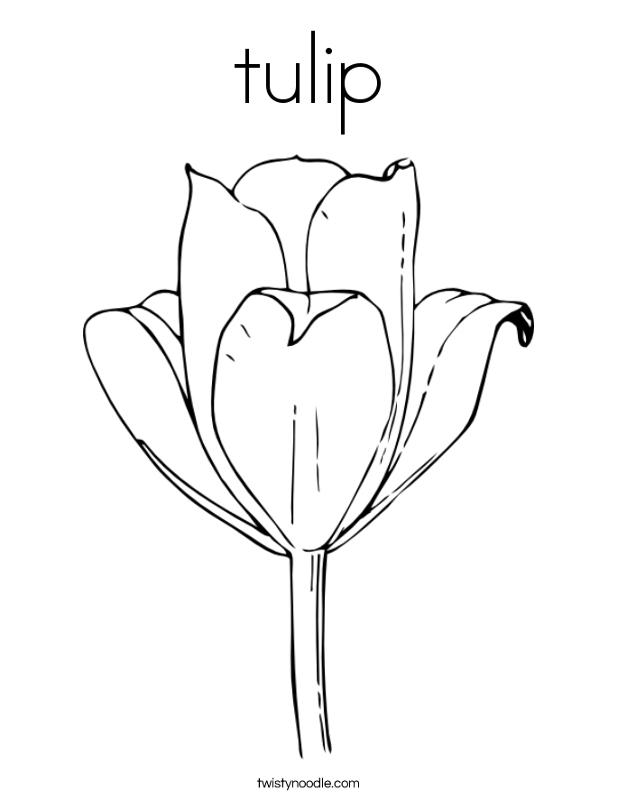 Tulip coloring #10, Download drawings