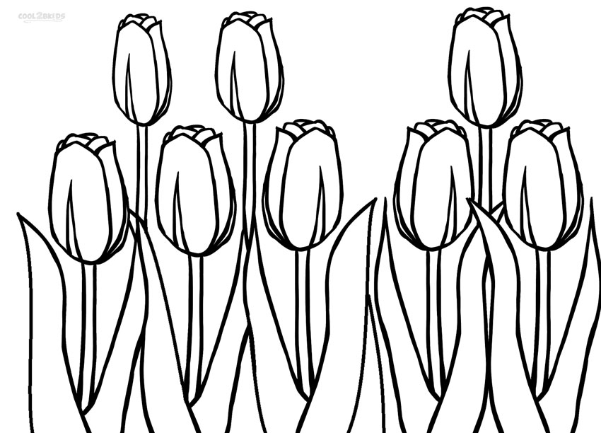 Tulip coloring #7, Download drawings