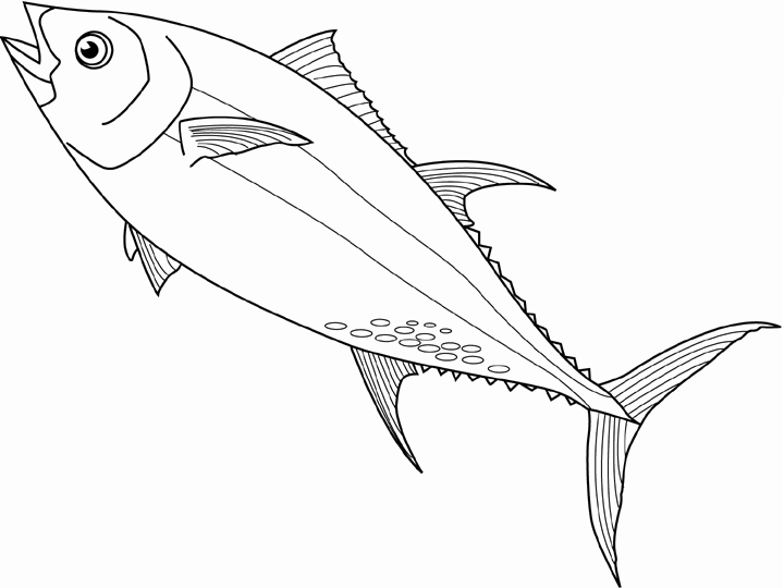 Tuna coloring #7, Download drawings
