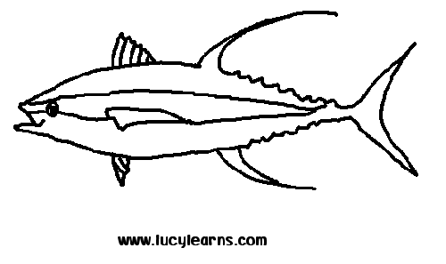 Tuna coloring #5, Download drawings