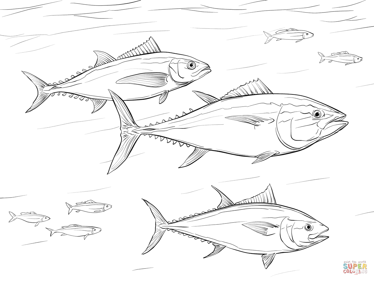 Tuna coloring #12, Download drawings