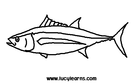 Tuna coloring #2, Download drawings