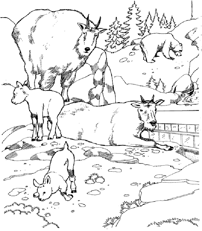 Tundra coloring #14, Download drawings