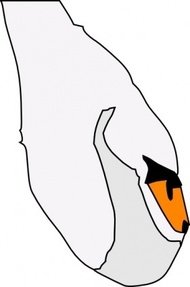 Tundra Swan clipart #11, Download drawings