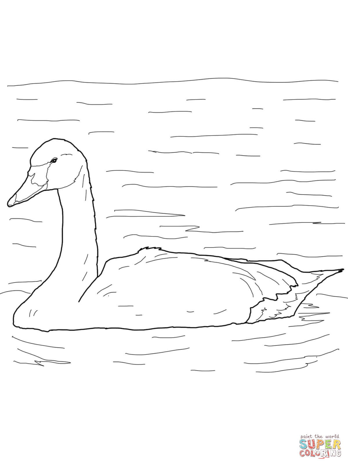 Tundra Swan coloring #7, Download drawings