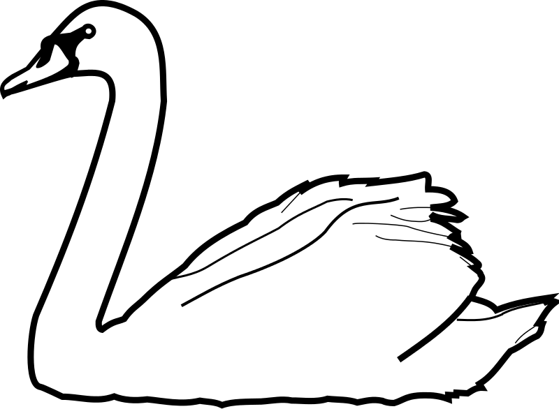 Tundra Swan svg #9, Download drawings