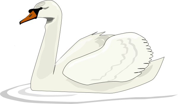 Tundra Swan svg #18, Download drawings