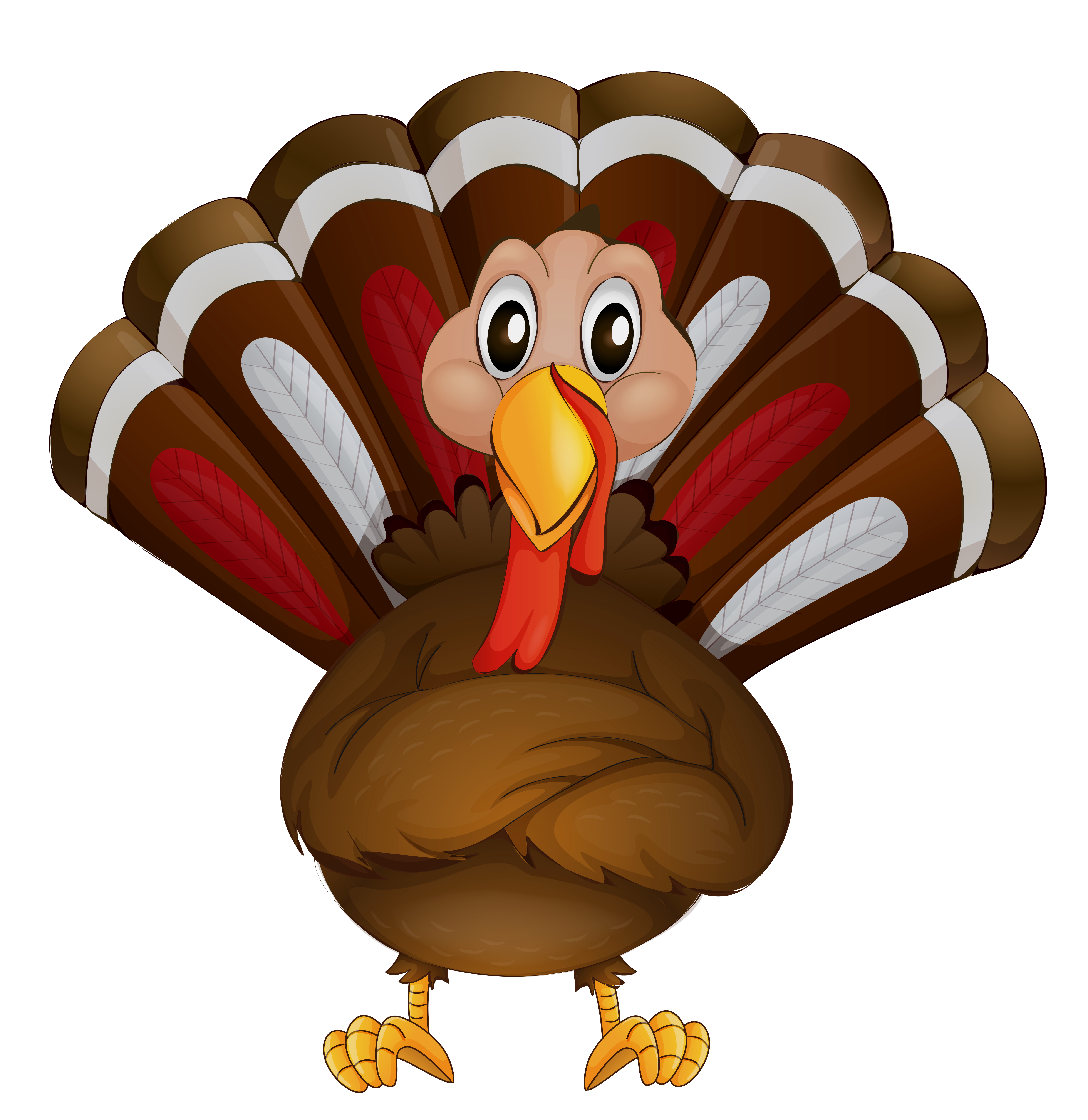 Turkey clipart #19, Download drawings