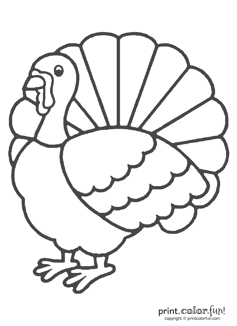 Turkey coloring #14, Download drawings