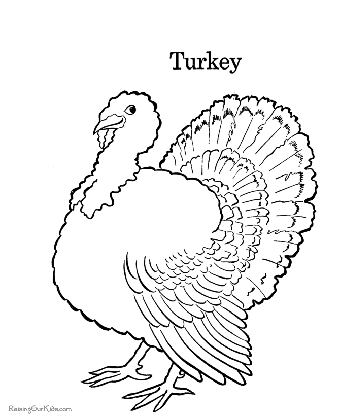 Turkey coloring #12, Download drawings