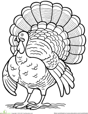 Turkey coloring #19, Download drawings