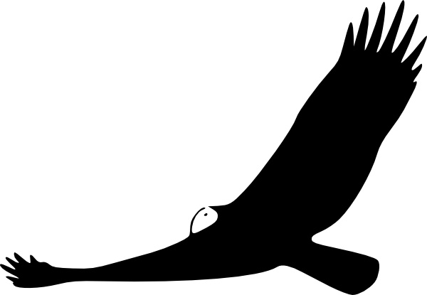 Turkey Vulture clipart #3, Download drawings