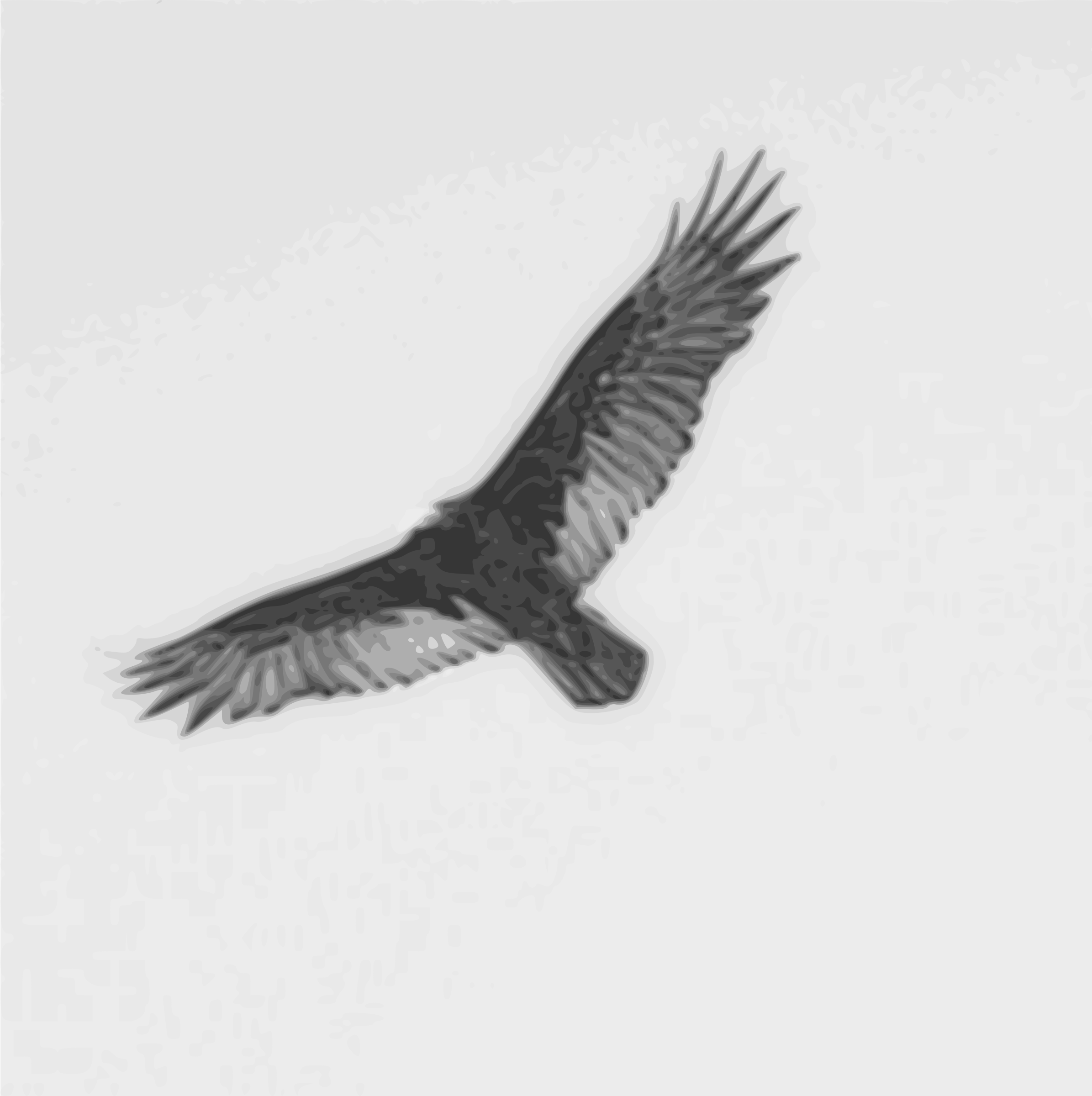 Turkey Vulture svg #18, Download drawings