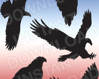 Turkey Vulture svg #1, Download drawings
