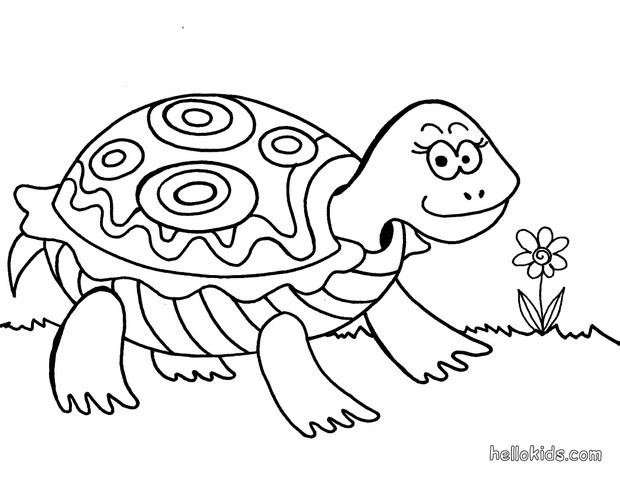 Turtle coloring #8, Download drawings