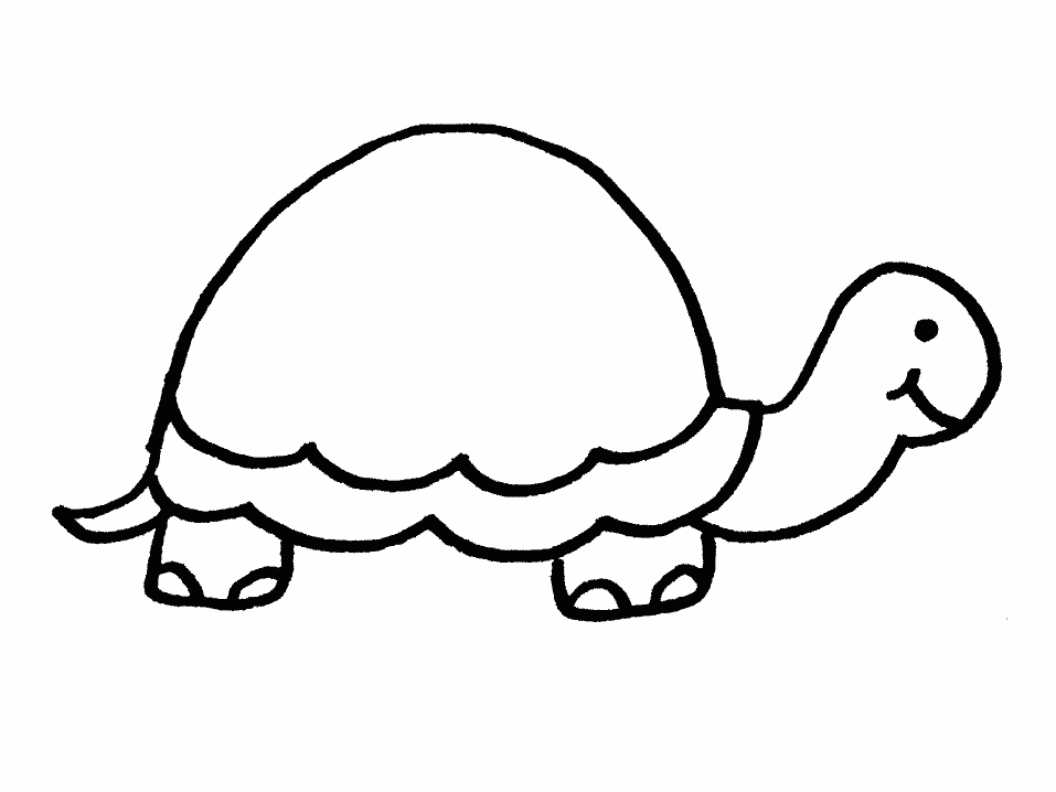 Turtle coloring #4, Download drawings
