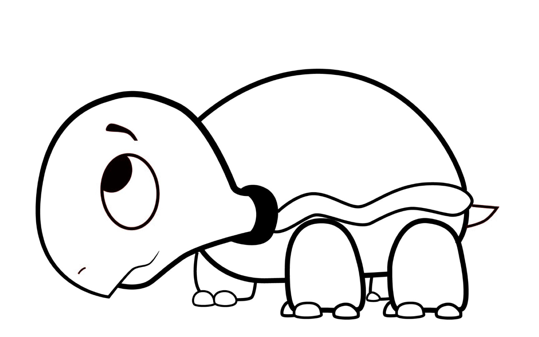 Turtle coloring #10, Download drawings