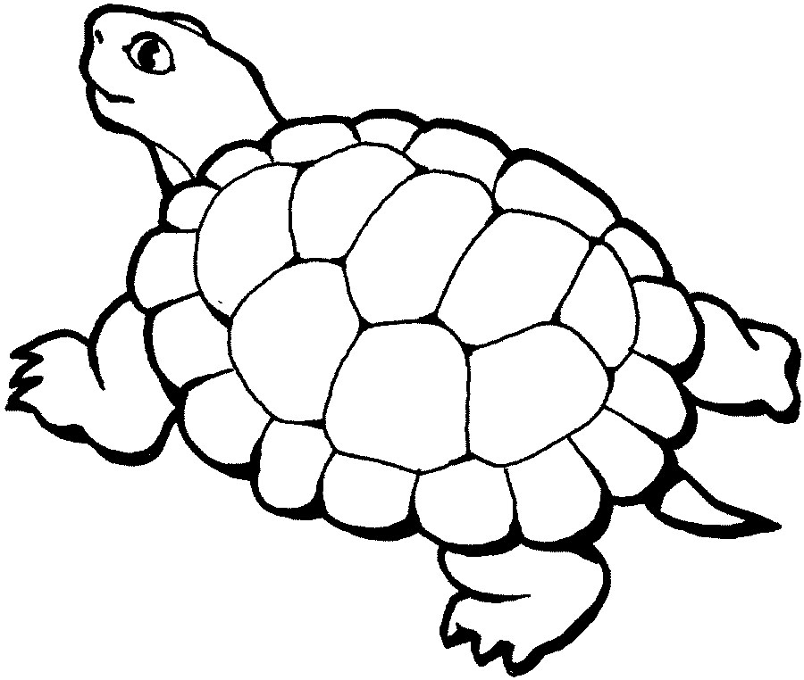 Turtle coloring #15, Download drawings