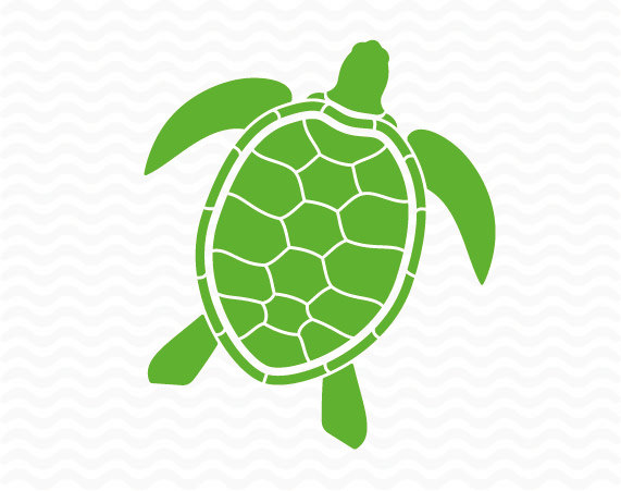 Turtle svg #12, Download drawings