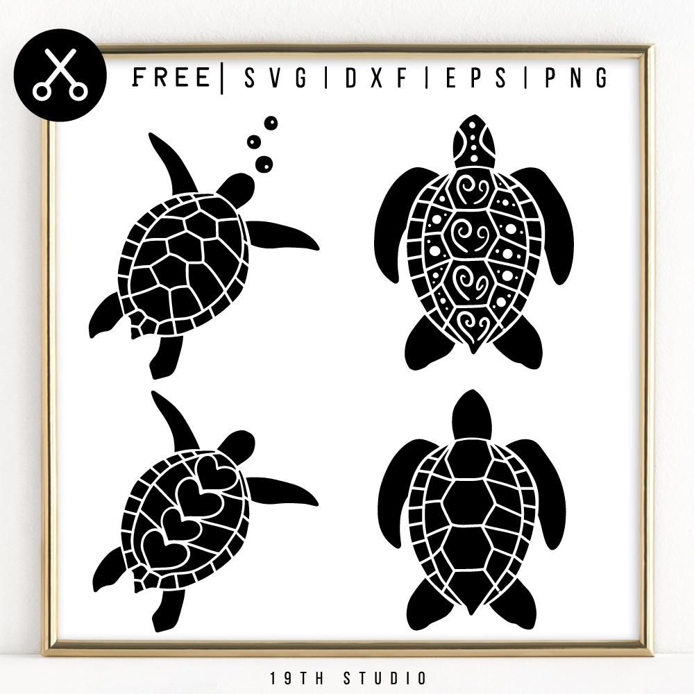 sea turtle svg free #578, Download drawings