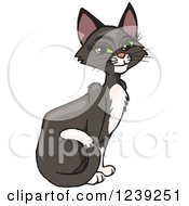 Tuxedo Cat clipart #13, Download drawings