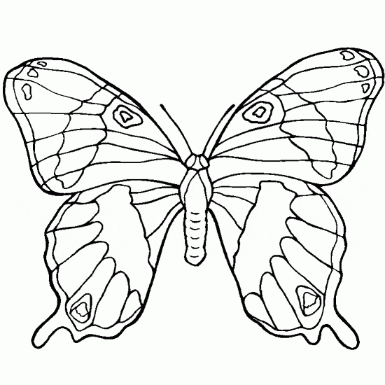 Ulysses Butterfly coloring #16, Download drawings