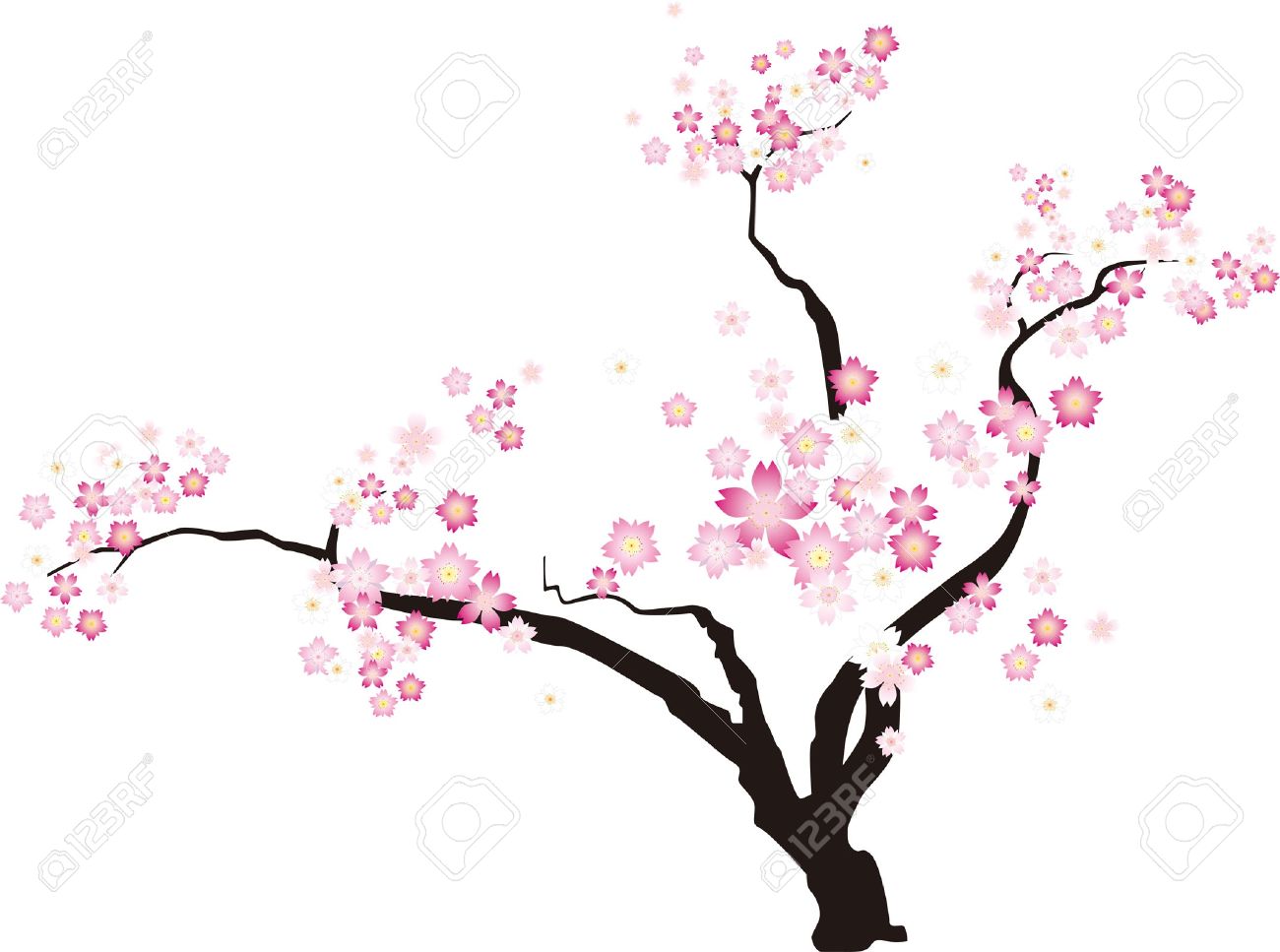 Ume Blossom clipart #6, Download drawings