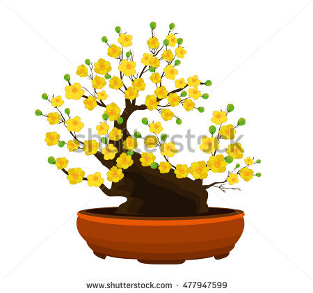 Ume Tree clipart #14, Download drawings