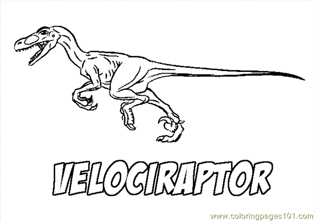 Velociraptor coloring #19, Download drawings
