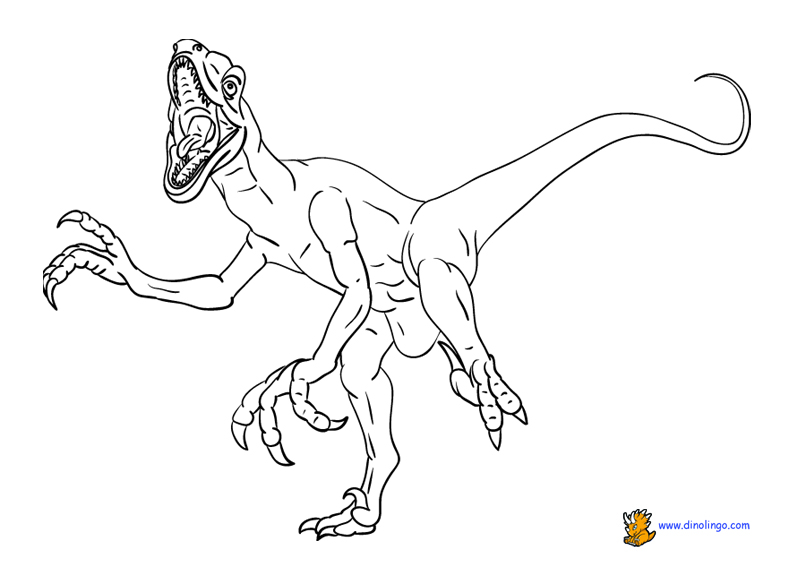 Velociraptor coloring #16, Download drawings