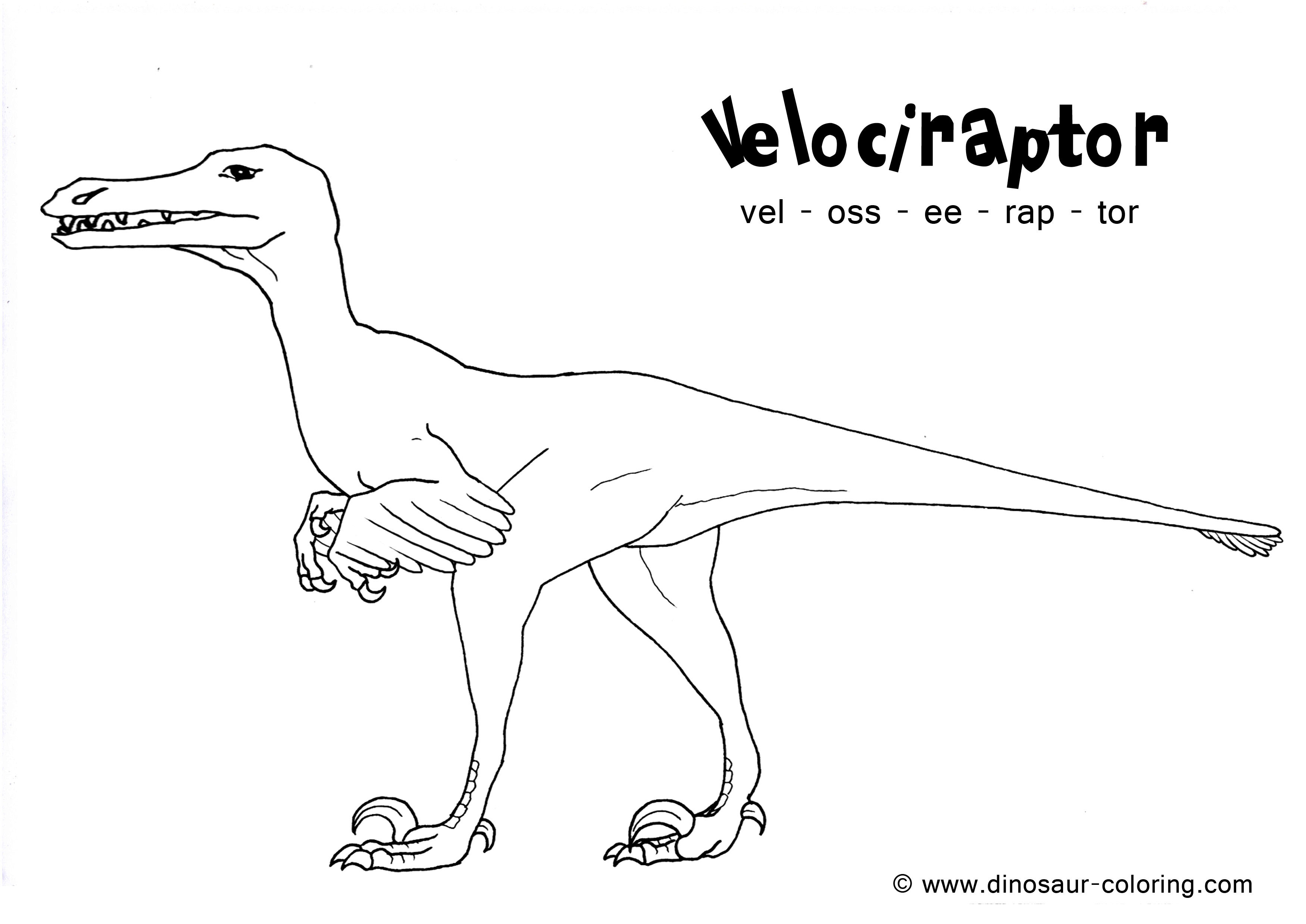 Velociraptor coloring #9, Download drawings