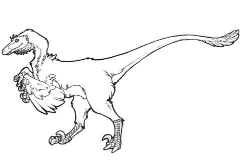 Velociraptor coloring #18, Download drawings